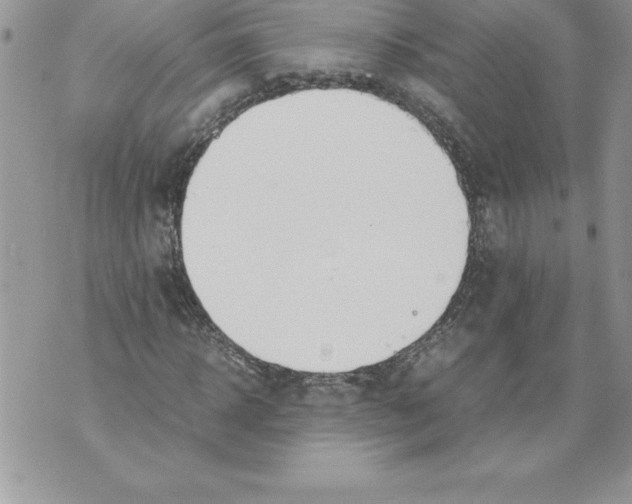 X0000070870918200607150117