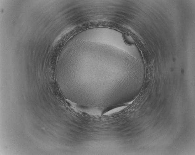 X0000070870919200607150117