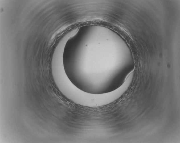 X0000070870920200607150117