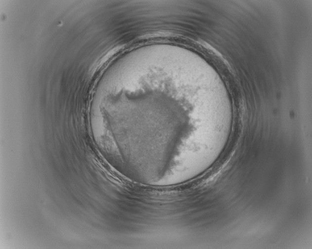 X0000070870921200607150117