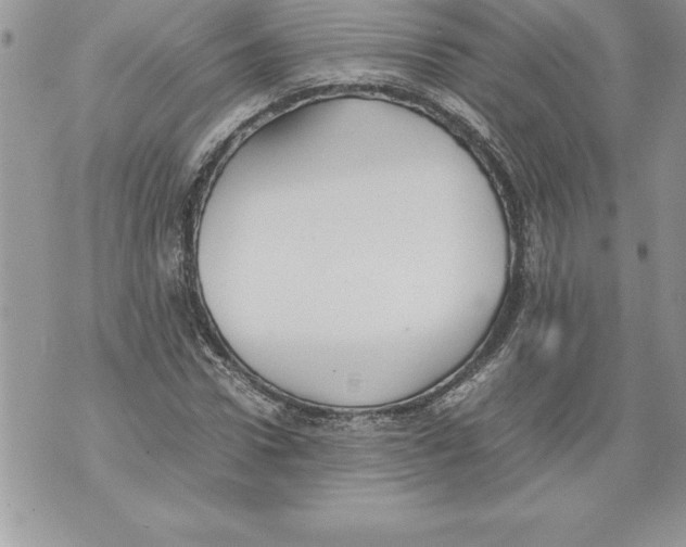 X0000070870922200607150117