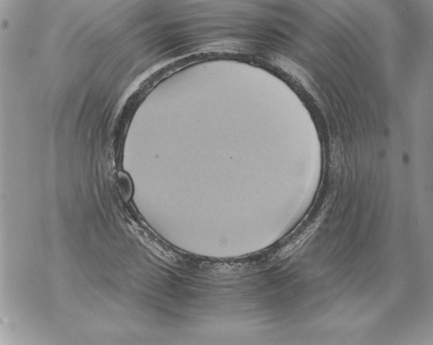 X0000070870923200607150117