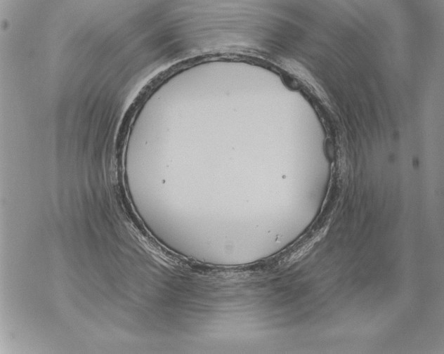 X0000070870924200607150117