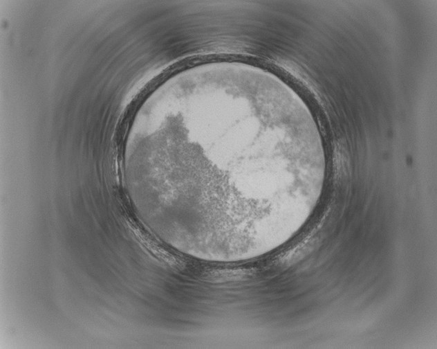 X0000070870925200607150117