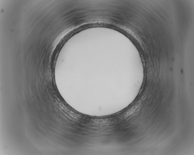 X0000070870927200607150117