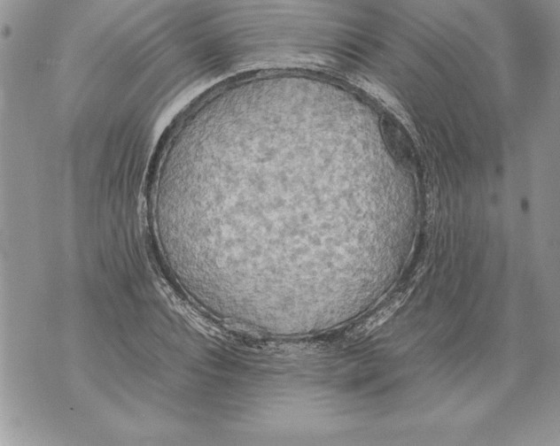 X0000070870928200607150117