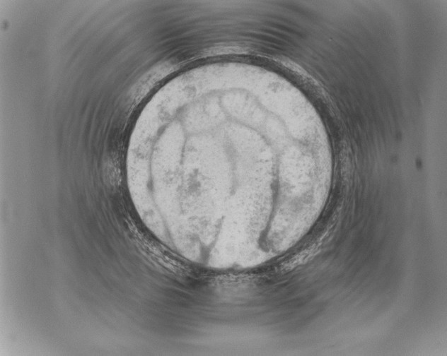 X0000070870929200607150117