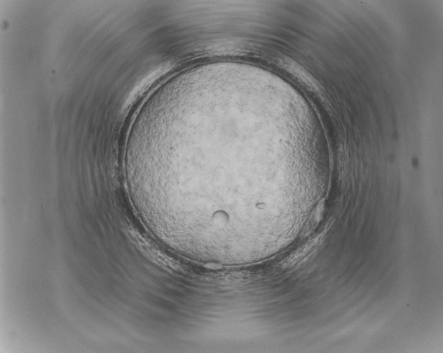 X0000070870930200607150117