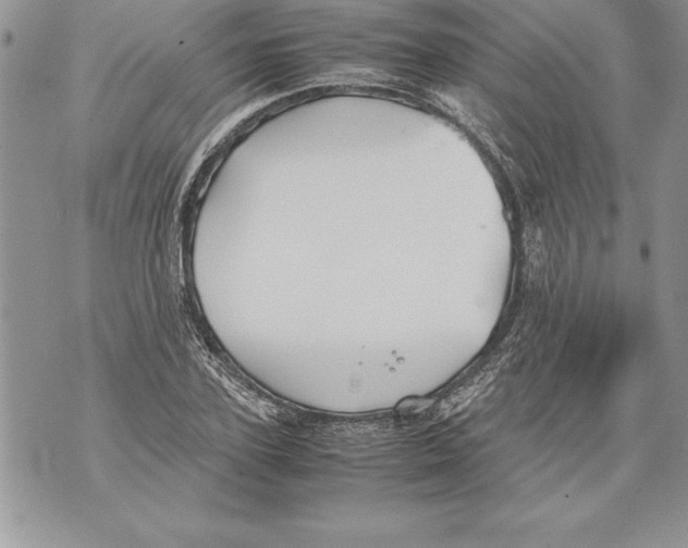 X0000070870931200607150117