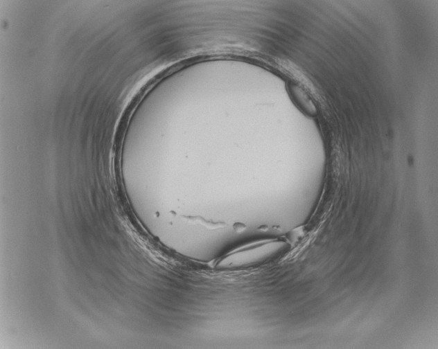 X0000070870932200607150117