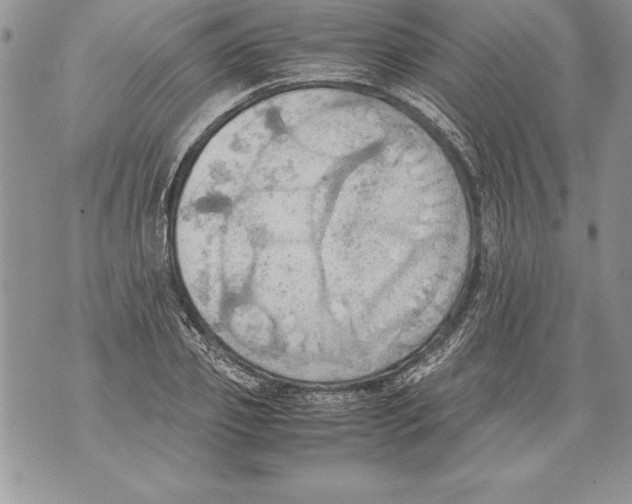 X0000070870933200607150117