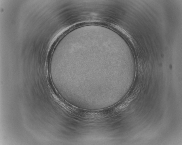 X0000070870935200607150117