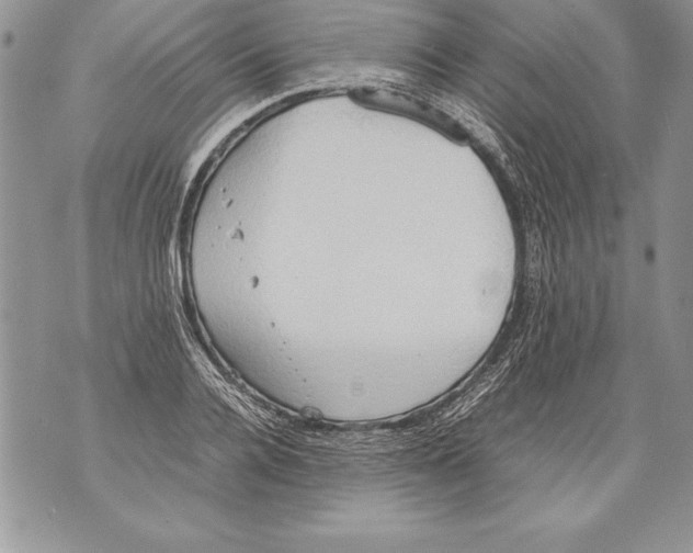 X0000070870936200607150118