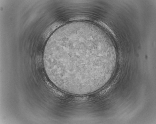 X0000070870937200607150118