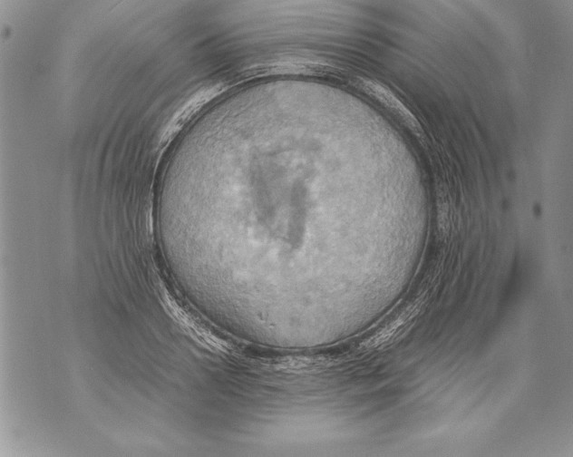 X0000070870938200607150118