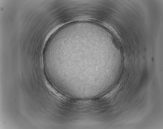 X0000070870939200607150118