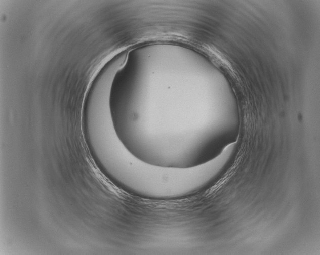 X0000070870940200607150118