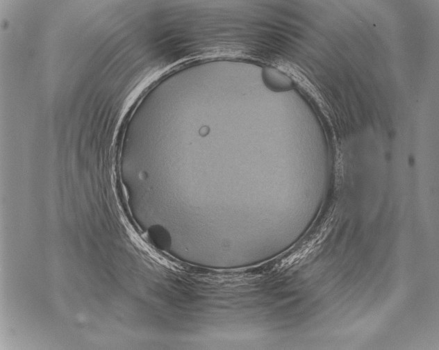 X0000070870941200607150118