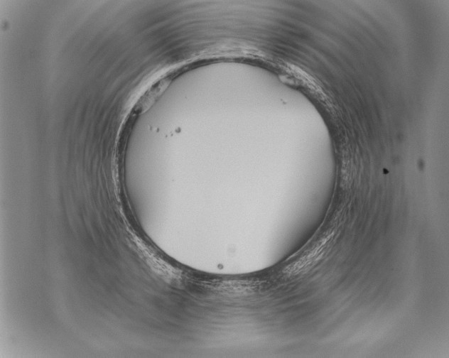 X0000070870942200607150118