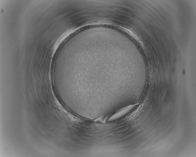 X0000070870943200607150118