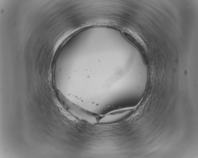 X0000070870944200607150118