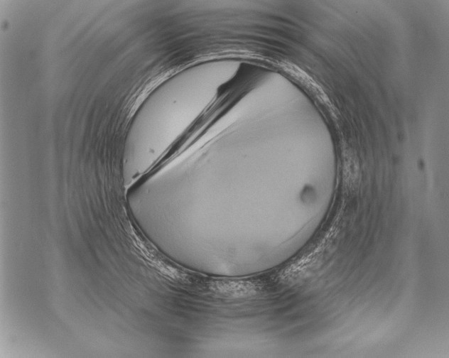 X0000070870945200607150118