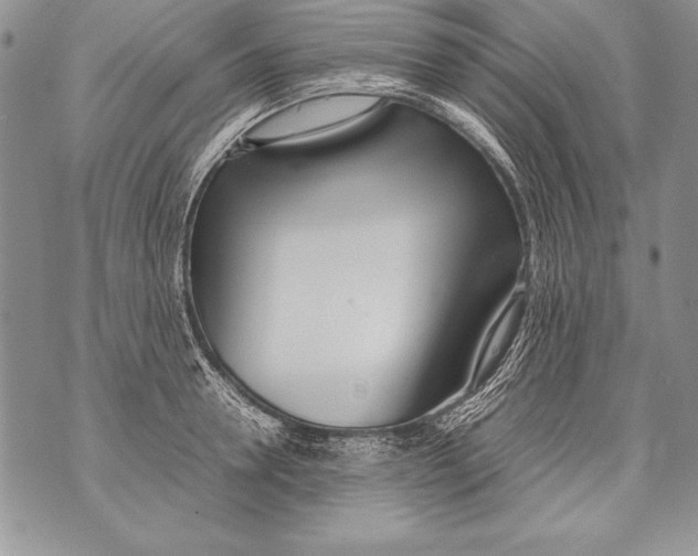 X0000070870946200607150118