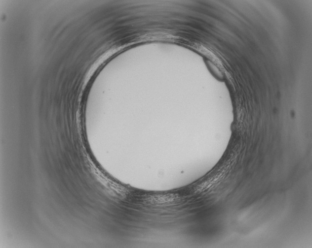 X0000070870947200607150118