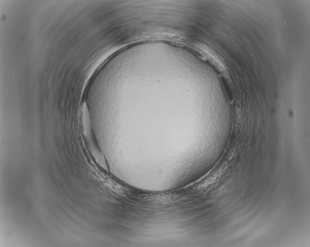 X0000070870948200607150118