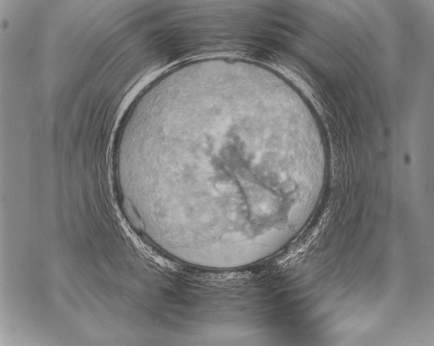 X0000070870949200607150118