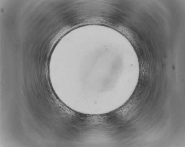 X0000070870950200607150118