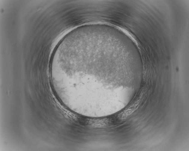 X0000070870951200607150118