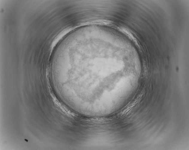 X0000070870952200607150118