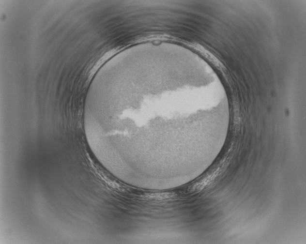 X0000070870953200607150118