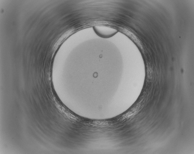 X0000070870954200607150118