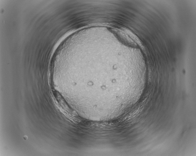 X0000070870955200607150118