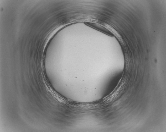 X0000070870956200607150118