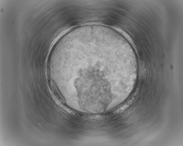 X0000070870957200607150118