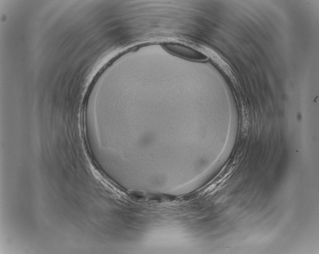 X0000070870958200607150118