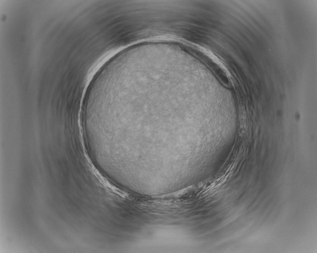 X0000070870959200607150118