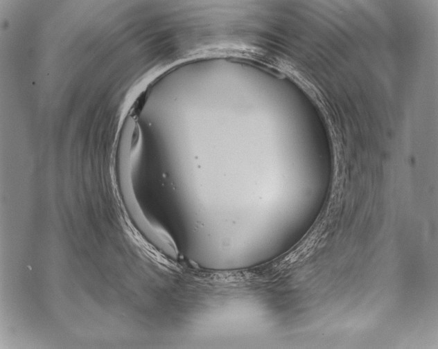 X0000070870960200607150118