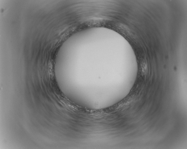 X0000070870964200607150117