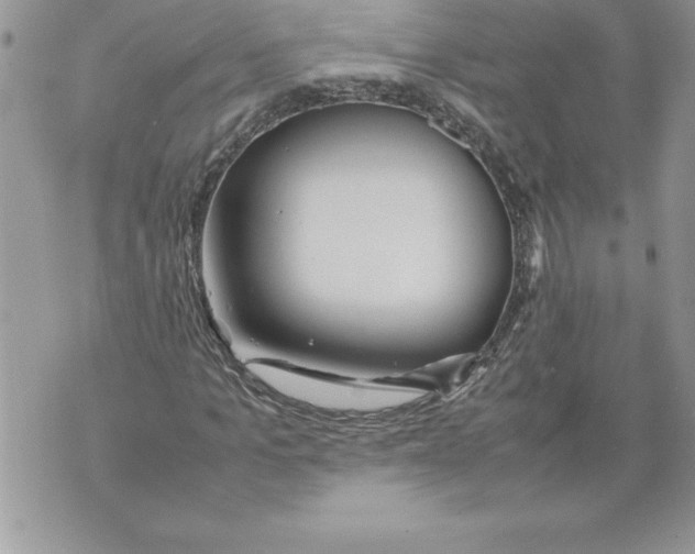 X0000070870965200607150117