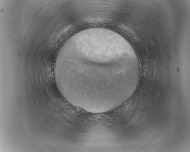 X0000070870966200607150117