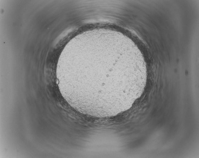 X0000070870967200607150117