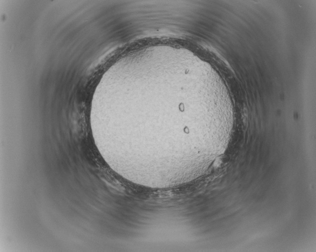 X0000070870968200607150117