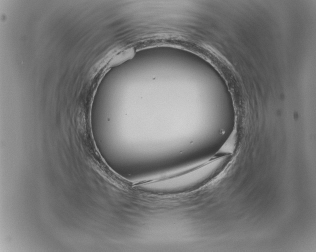 X0000070870969200607150117