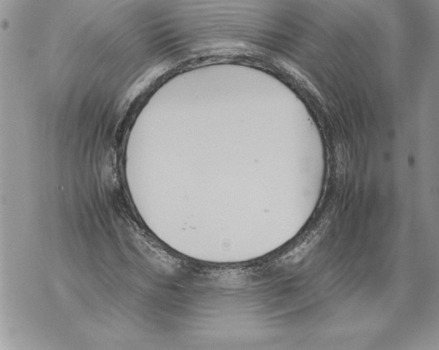 X0000070870970200607150117