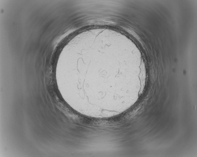 X0000070870971200607150117