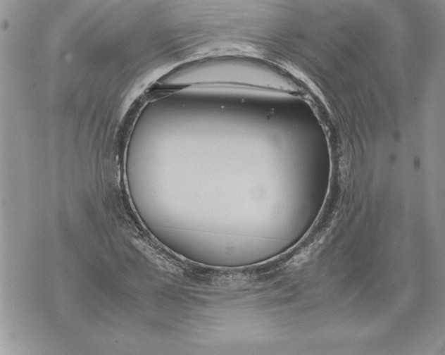 X0000070870973200607150117